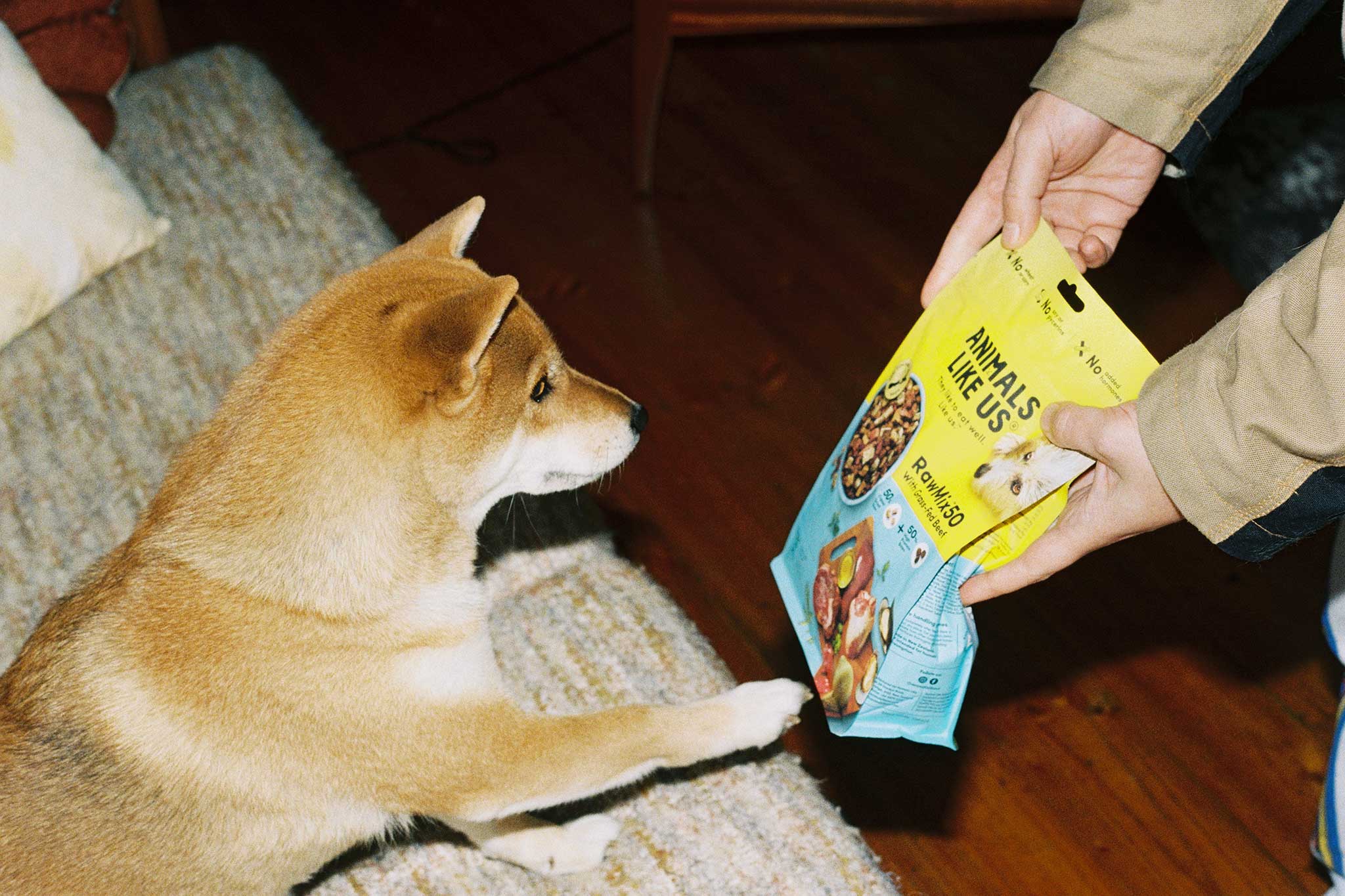 Animals Like Us lifestyle product photography and social media content on 35mm film.