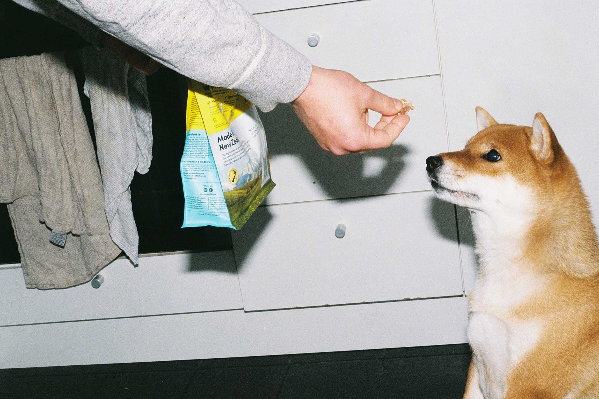 Animals Like Us lifestyle product photography and social media content on 35mm film.