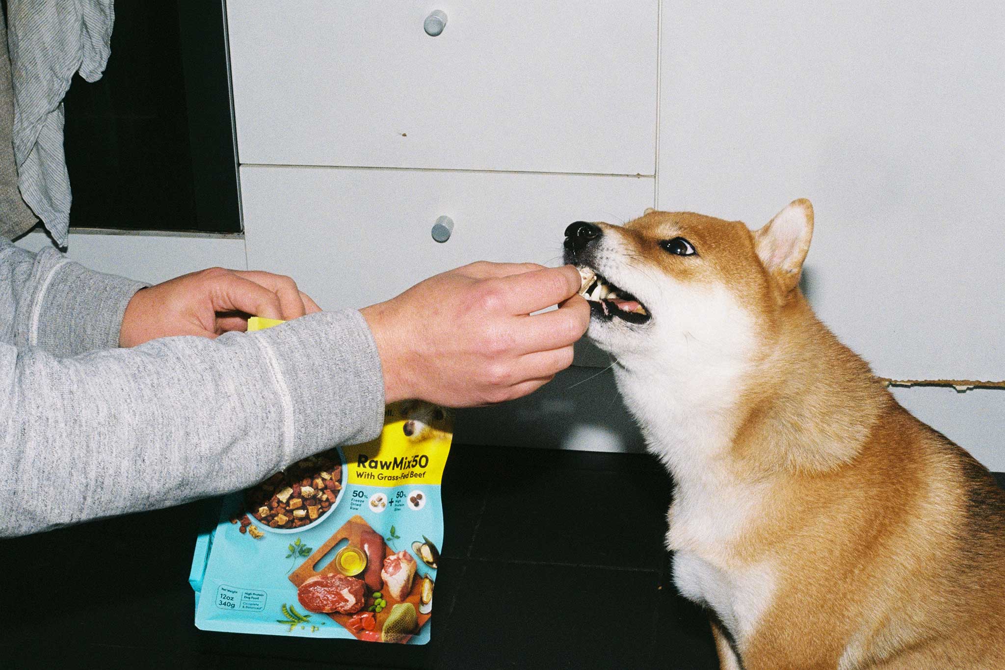 Animals Like Us lifestyle product photography and social media content on 35mm film.