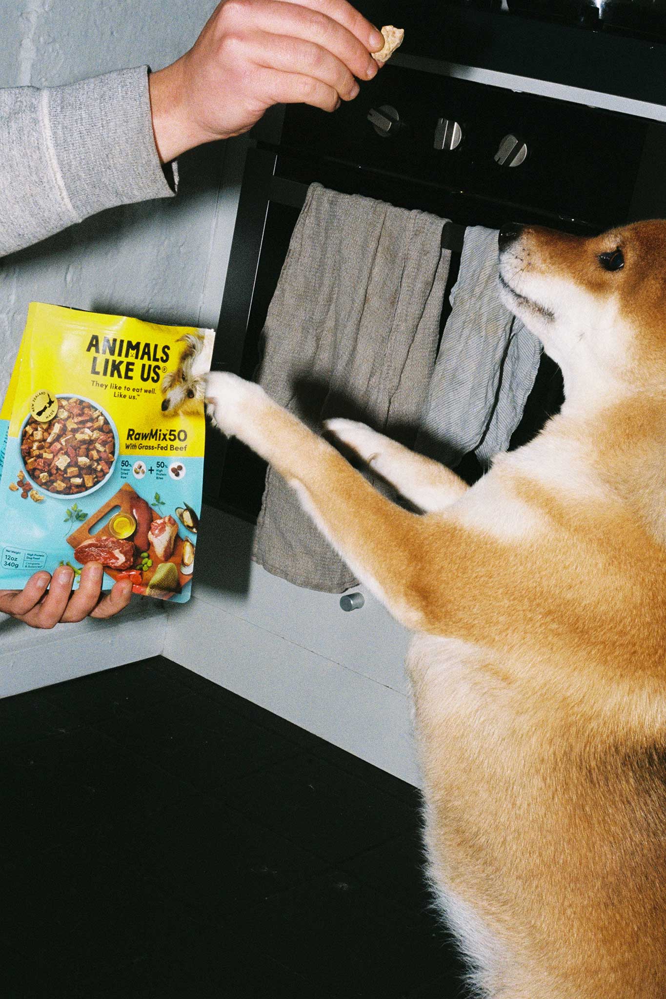 Animals Like Us lifestyle product photography and social media content on 35mm film.